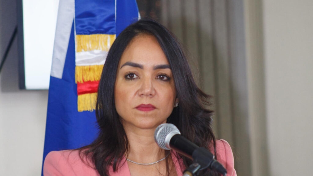 Ministra Faride Raful destaca avances en formación policial y control institucional en reunión del Plan de Seguridad Ciudadana